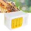 Queen Bee Mating Box Foam Breeding Rearing Copulation Accessory Beekeeping