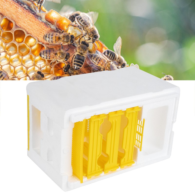 Queen Bee Mating Box Foam Breeding Rearing Copulation Accessory Beekeeping