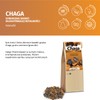 Chaga Mushroom Coarsely Ground Wild Collected in the Forests of