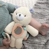 Ingenuity, Nate Plush Toy with many activities such as a
