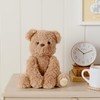 The Softies - William The Brown Teddy Bear Sitting Plush
