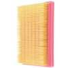 Road Passion AP8104329 Air Filter Replacement for CAN-AM Spyder 1000