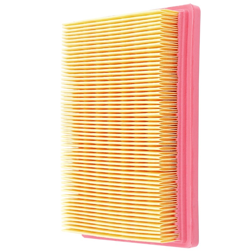 Road Passion AP8104329 Air Filter Replacement for CAN-AM Spyder 1000