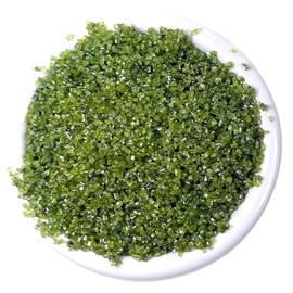 Ultimate Baker - Sanding Sugar, Holly Green - Vibrant, Naturally Colored Baking & Decorating Sugar, Perfect for Sprinkling on Cakes, Desserts & Ice Cream, Medium Crystal - 16oz
