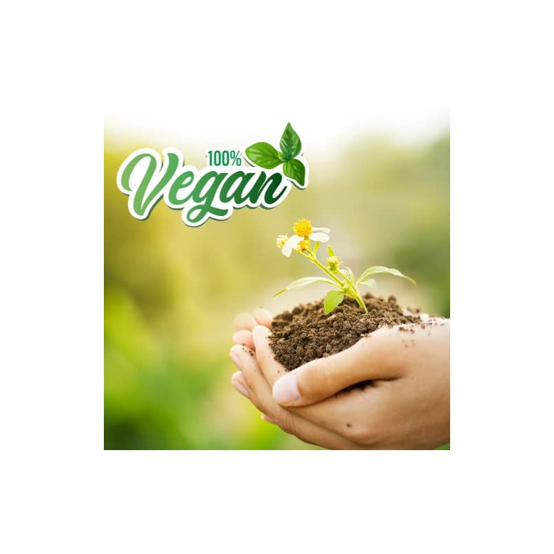 Mystix Mystix London | Chinese Earth Element Essential Oil Blend