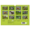 Possierliche Stockenten (Wandkalender 2026 DIN A4 quer), CALVENDO Monatskalender