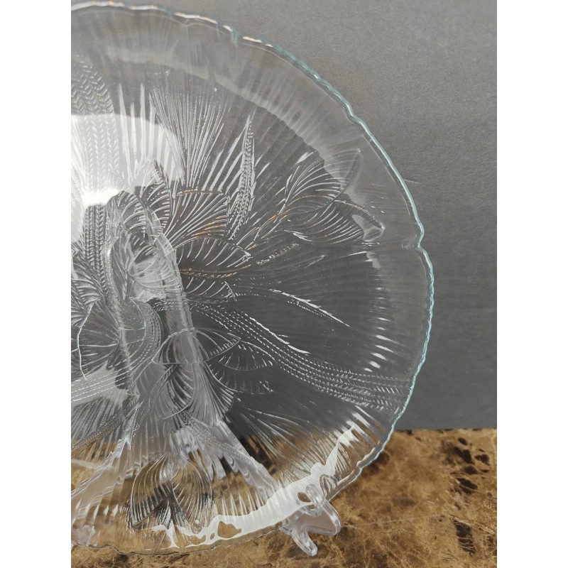 Arcoroc Set Of 4 Arcoroc Canterbury Dinner Plates Floral Clear