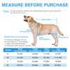 Furtent Dog Back Support Brace for IVDD Recovery – Soft