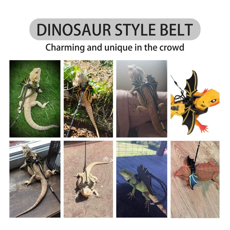 Soft Leashes for Small Pets -Ideal for Bearded Dragons, Amphibians