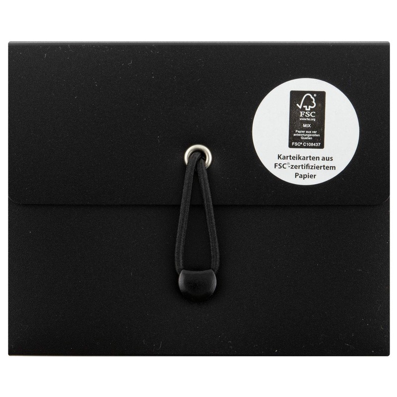Stylex 49100 Index Card Box DIN A7 with 5 Compartments