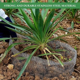 Nimomo Pack of 4 Vole Wire Baskets, Practical Vole Wire Mesh, Durable Plant Root Protection, Prevents for Plants, Vegetables, Root Protection (35 x 35 cm)