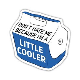 MAIANEY (3 Pcs) Don't Hate Me Because I'm A Little Cooler Sticker Funny Meme Stickers Blue Cooler Adult Humor Stickers Hard Hat Stickers Gag Gifts Decorations Laptop Water Bottle Car Window 3"x4"