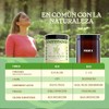 Hongos Adaptógenos Frijol Mucuna Extracto Puro Polvo 100 Suplemento Alimenticio