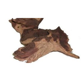 Mopani Mangrove Root Guaranteed 30 cm, Aquarium, Terrarium