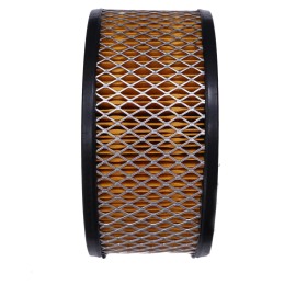 Generic Air Filter AF25530 P607240 For LP Engine LPWS3 TS1 TS2 TR1 TR2 LT2 LV1 LV2 PJW1