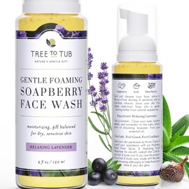 Gentle Face Wash for Dry Skin. The Only pH 5.5 Balanced Lavender Foaming Face Wash for Sensitive Skin - Women and Men's Face Wash (Relaxing Lavender)
