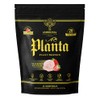 Ambrosia Planta - Premium Plant-Based Protein | Vegan & Keto