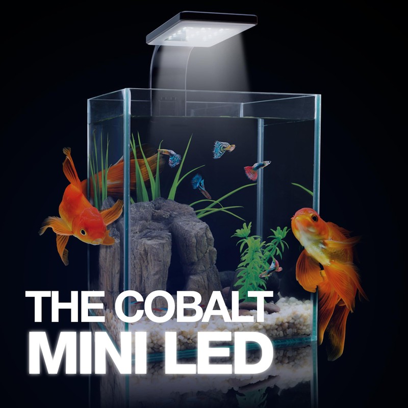 Cobalt Aquatics Freshwater Mini LED Light - 6500K, 6W, Black