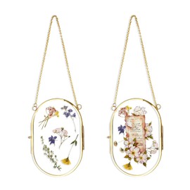 MOAMUN 2PC Hanging Pressed Flower Frame, Double Clear Glass Frames for Dried Plant, Handmade Oval Photo Floating Frame Vintage Wall Decor for Display Artwork DIY Photo Specimen(Gold 4×6 inches)