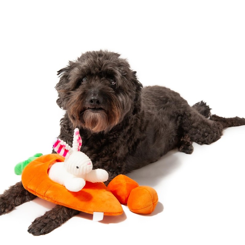 Midlee Hide a Toy Carrot Easter Dog Toy