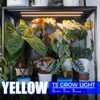 Barrina T5 Plant Grow Lights for Indoor Growing, 2FT 80W