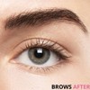 COLORSPORT DIVA 30 DAY BROW TINT, Eyebrow Tint, Eyebrow Dye,