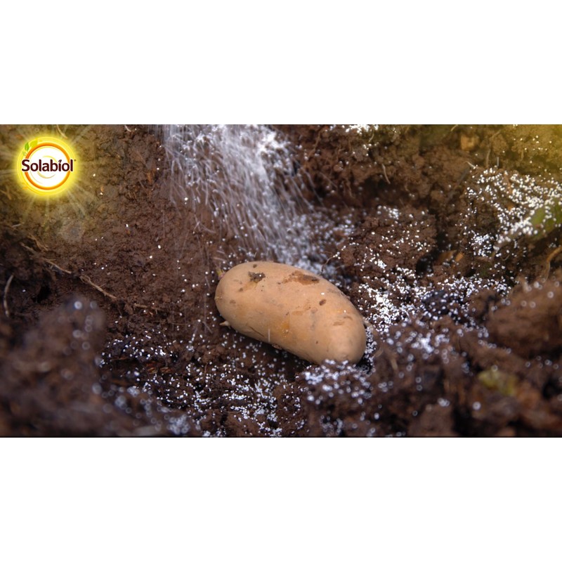 Solabiol SOSOL600 Insects of the Ground 600 g