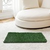 Sardoxx 2pcs Pet Potty Training Pee Artificial Grass Rug Pad