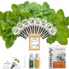 Mint Seed Pod Kit for AeroGarden, Ahopegarden, Gardencube Indoor Garden