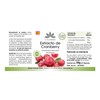 Cranberry Capsules - Cranberry Extract 25x Concentrated - High Dose
