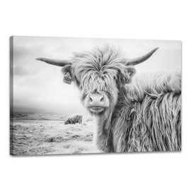 Black and White Cow Bull Yak Canvas Picture Wall Decor Farmhouse Baby Highland Cow Decor Bathroom Picture Wall Art Framed for Home Office (16x24 inch)