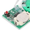 Writeable Sound Chip, Sound Voice Recording Playback Module with Double-Sided