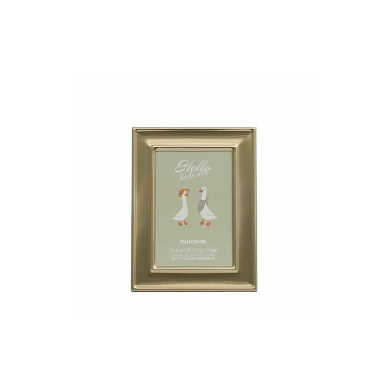 FUJICOLOR 507229 Fuji Color Metal Frame 3403HL Gold, Half Size,