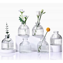 Aebor Glass Bud Vases Set of 6, Glass Flower Vases Small Bottles for Floral Arrangements, Rustic Decorative Floral Vases for Centerpiece Home Living Room Office Decoration or Wedding Event (Clear A)