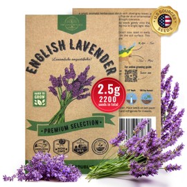 English Lavender Seeds Pack 2.5 G - Over 2,200 Non-GMO Heirloom Lavender Seeds for Planting Herbs in Individual Seed Packet, Herbs Seeds for Planting Home Garden Indoor & Outdoor Gardening