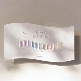 Divock Divok New Moon Magnet Gel + 30 parts / 디보크 뉴문 자석젤+파츠 30개