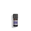 L'Occitane Protected Designation of Origin Lavender Essential Oil from Haute-Provence,