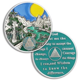 13 Year Sobriety Coin Thirteen Year AA Coin Alcoholics Anonymous Medallion Sun Chip AA Chips and Medallion Sobriety Gifts for Men Women Recovery Gift Anniversary Token Forest River Tree Coin