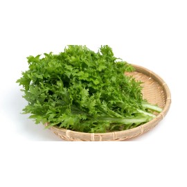 Pan-Asia Heirloom Seeds 0.5-OZ 8000 WASABINA Baby Leaf Japanese Mustard Green seeds;