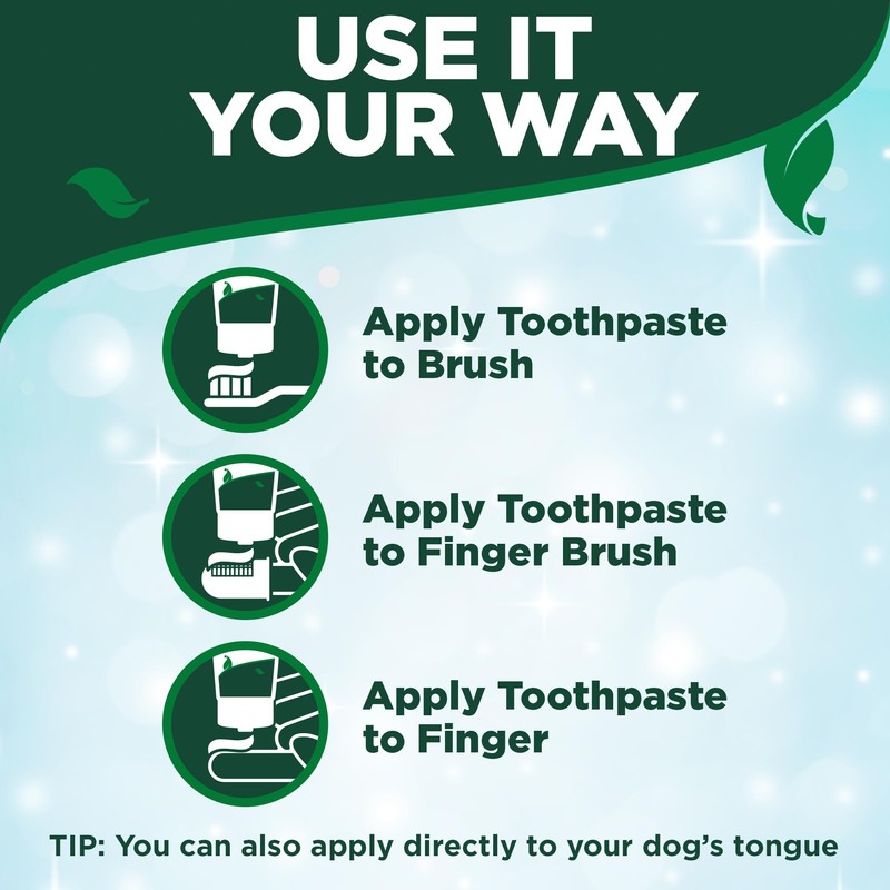 Vet’s Best Enzymatic Dog Toothpaste – Vet Formulated Dental Gel