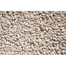 OliveNation Organic White Cannellini Beans, Dry White Kidney Beans, Non-GMO, Gluten Free, Vegan - 8 ounces