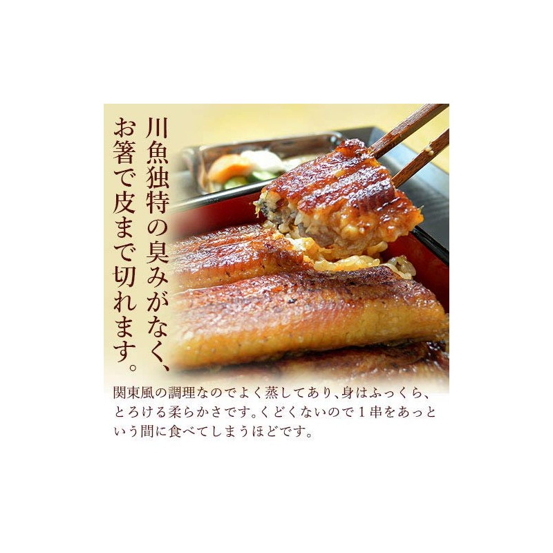 うなぎプレミアムギフトセット 国産うなぎ真空長蒲焼き 3尾ギフト 浜名湖山吹