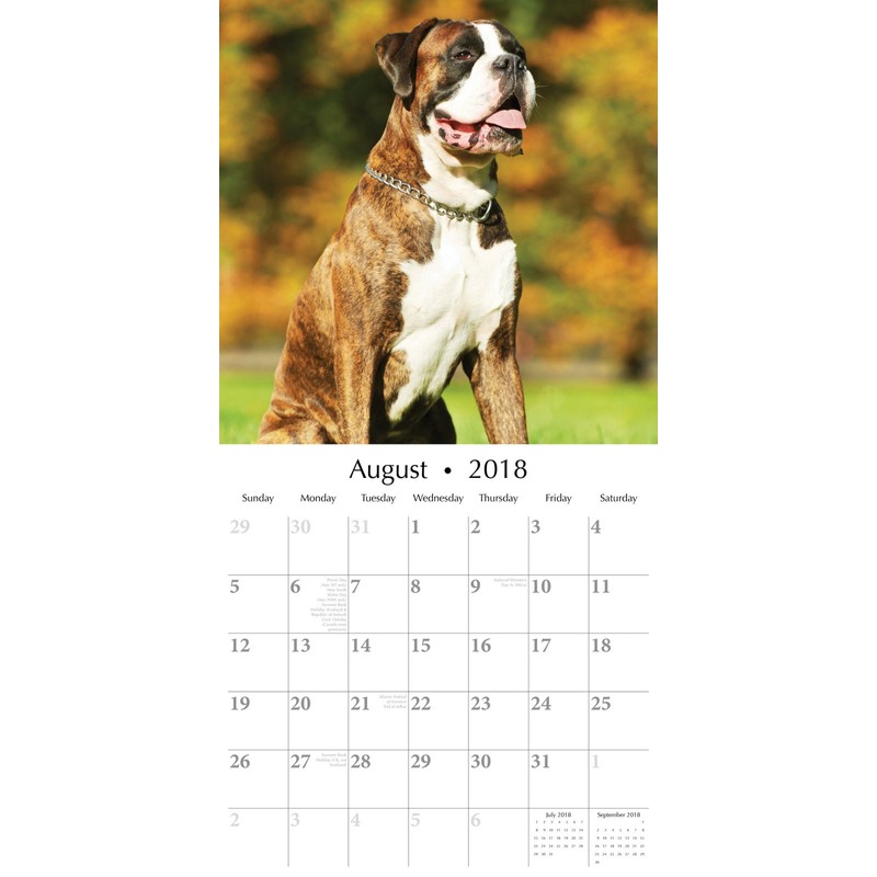 Paw Prints Range Boxers 2018 Square Wall Calendar