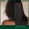 Aveda Botanical Repair Strengthening Shampoo Fortalece y Repara