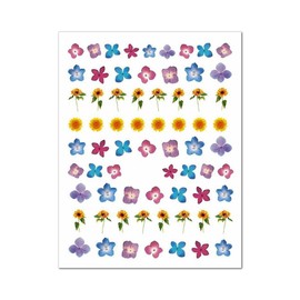 Generic Birds Flower Nail Sticker Peony Strawberry Guava Daisy Sunflower Branch Decal 517 Nail Wraps Stickers Manicure Supplies for Women Nails Full Long Lasting Easy Apply and Remove