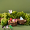 VORCOOL Bird Miniature Mini Figurine Set of 8 Birds Objects,