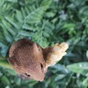 Vivid Arts Harvest Mouse on Wheat Highly Detailed Home Garden