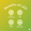 GE Lighting 43074 Refresh HD LED (65-Watt Replacement) 700-Lumen BR30