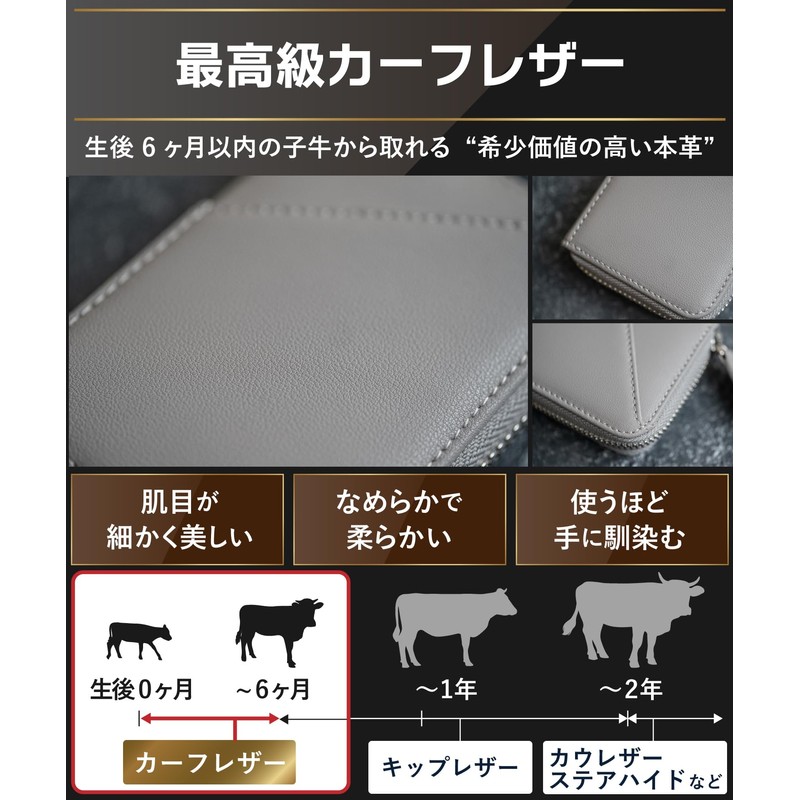 STREAM Card Case, Men's, Women's, Genuine Leather, Anti-Skimming, 12 Pockets,