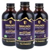 Immunia SYNERGY - Elderberry Supplement for Immune System Support -